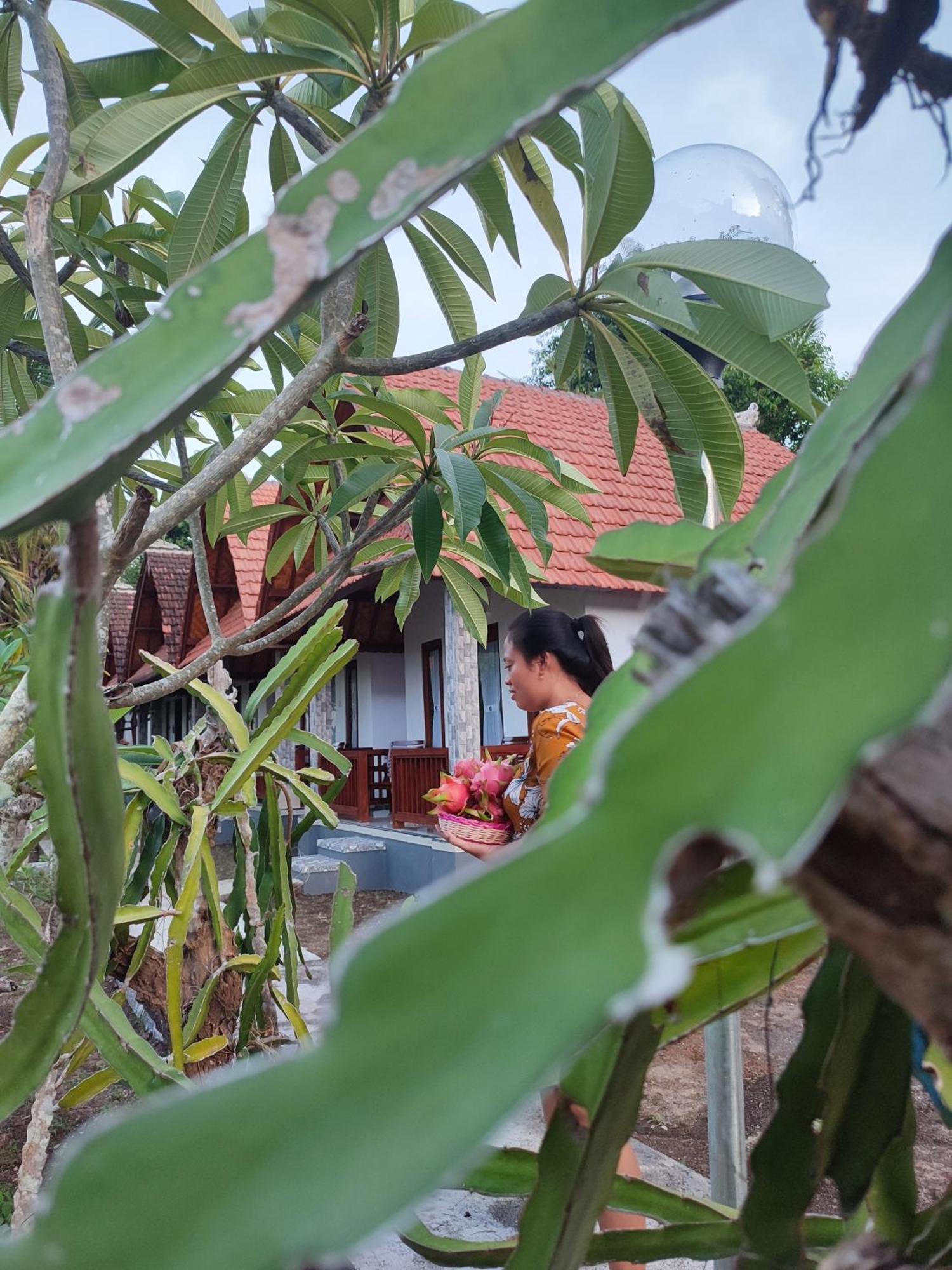 Santhi Guna Bungalow Toyapakeh Exteriér fotografie
